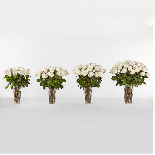 Long Stem White Rose Bouquet –  Fiesta, Las Cruces NM