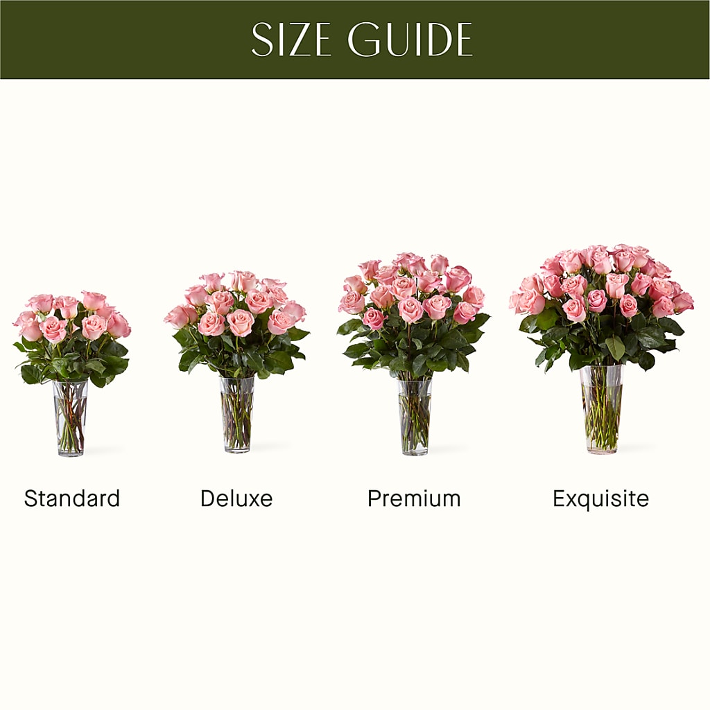 Long Stem Pink Rose Bouquet –  Fiesta, Las Cruces NM