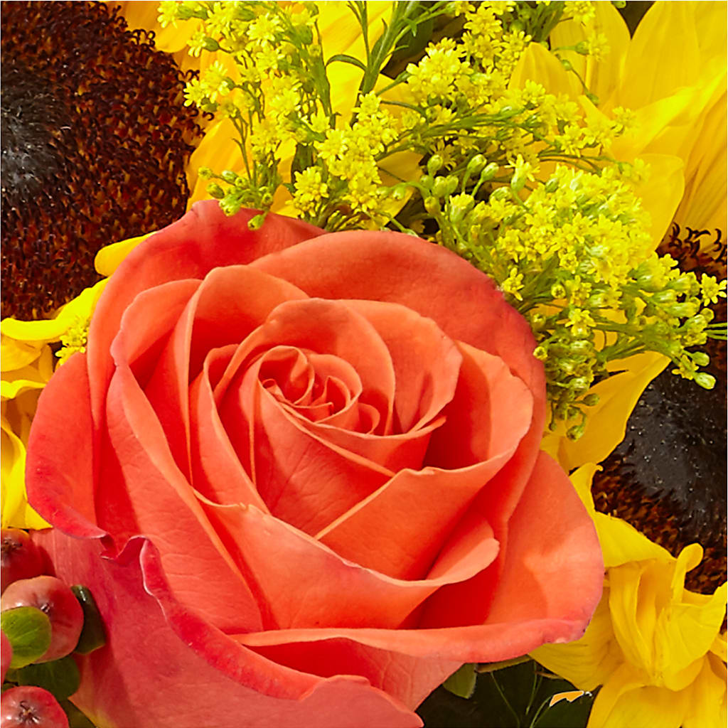 Pick of the Patch Pumpkin Bouquet –  Fiesta, Las Cruces NM