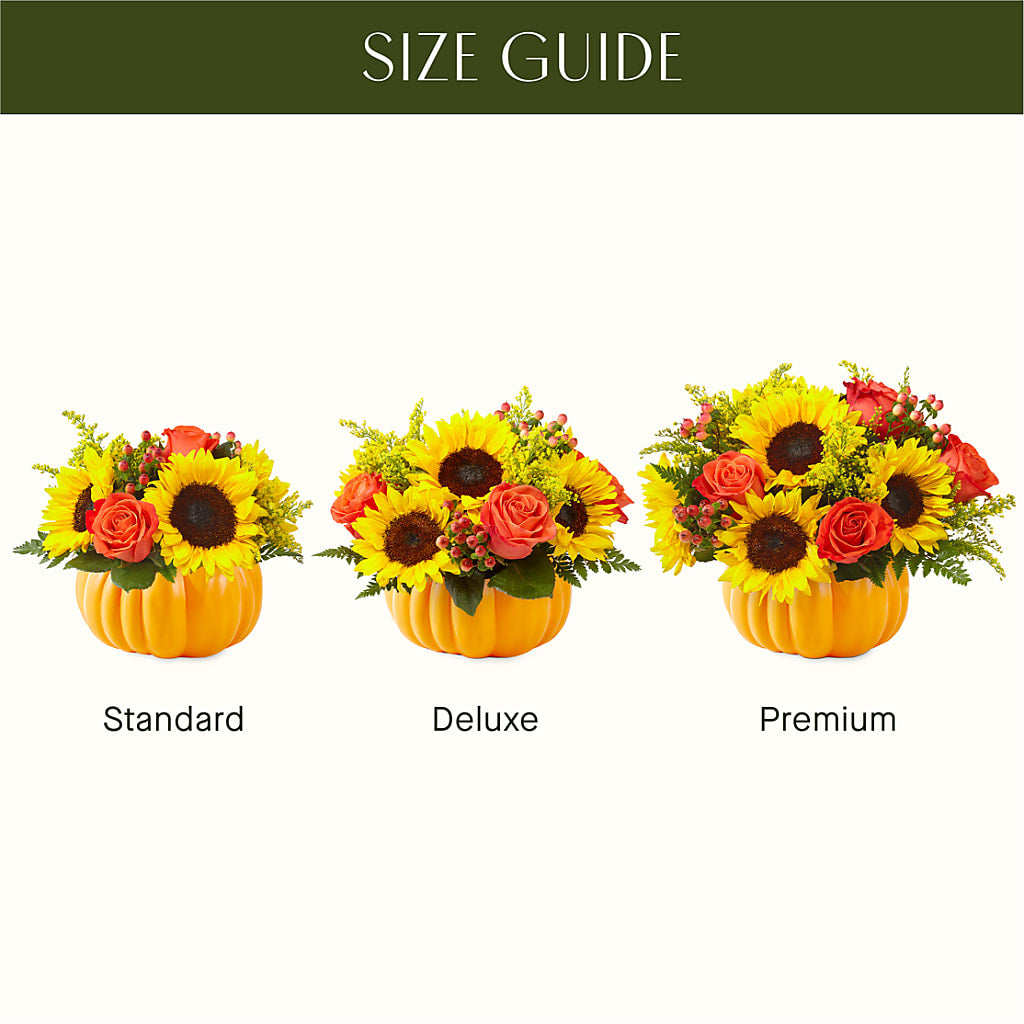 Pick of the Patch Pumpkin Bouquet –  Fiesta, Las Cruces NM