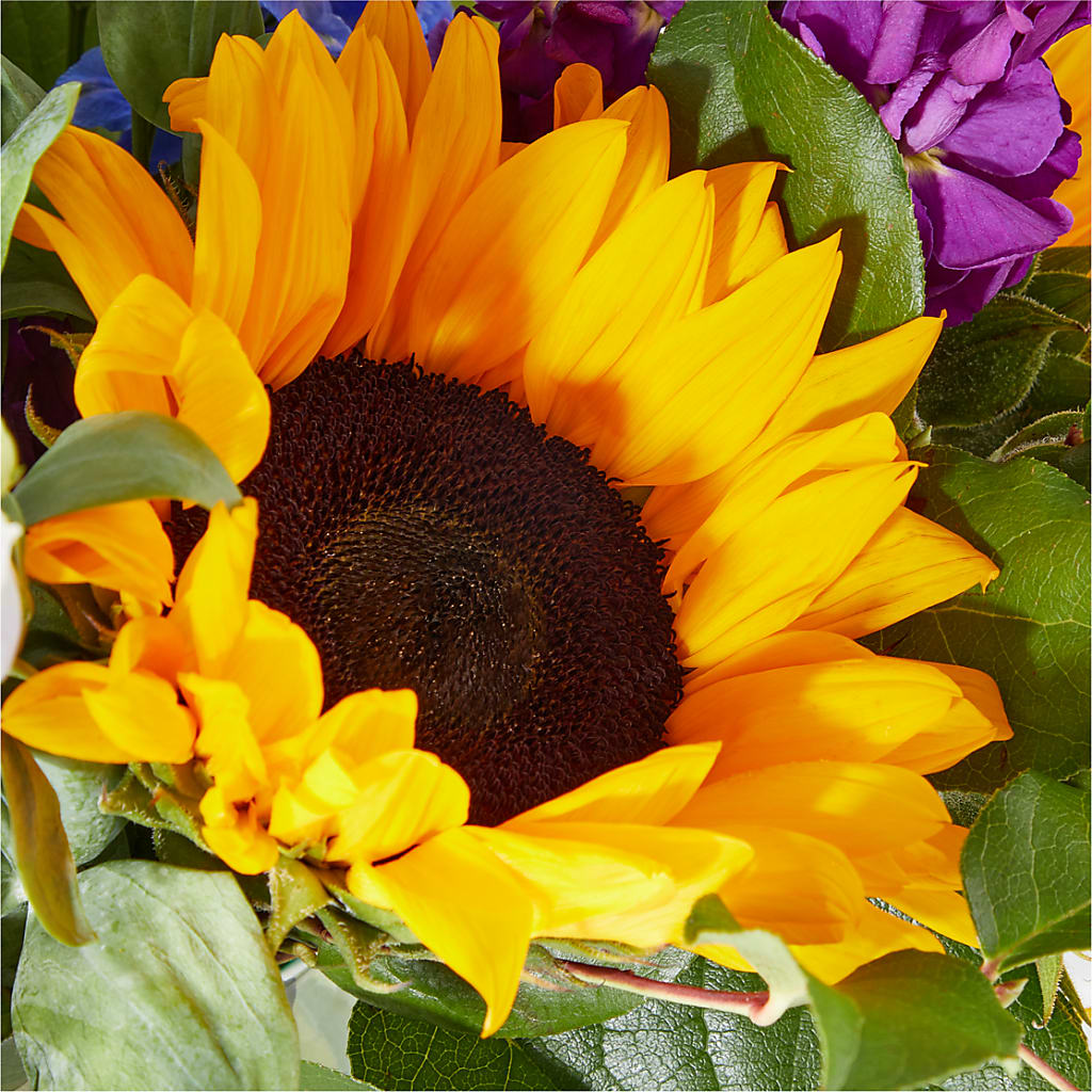 Catching Rays Bouquet –  Fiesta, Las Cruces NM