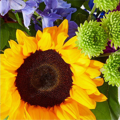 Catching Rays Bouquet –  Fiesta, Las Cruces NM
