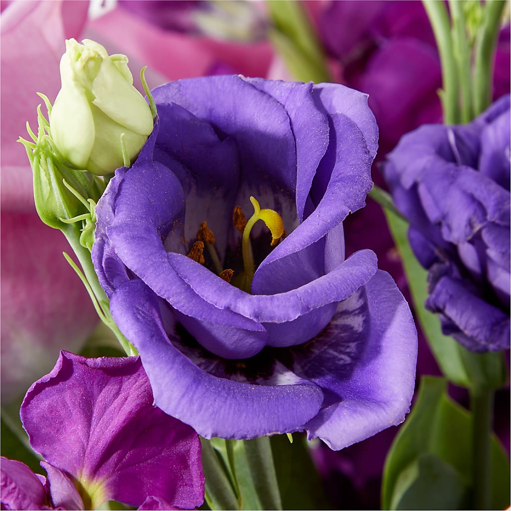 Twilight Glow Bouquet –  Fiesta, Las Cruces NM