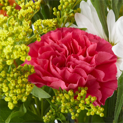 Oopsie Daisy Bouquet –  Fiesta, Las Cruces NM