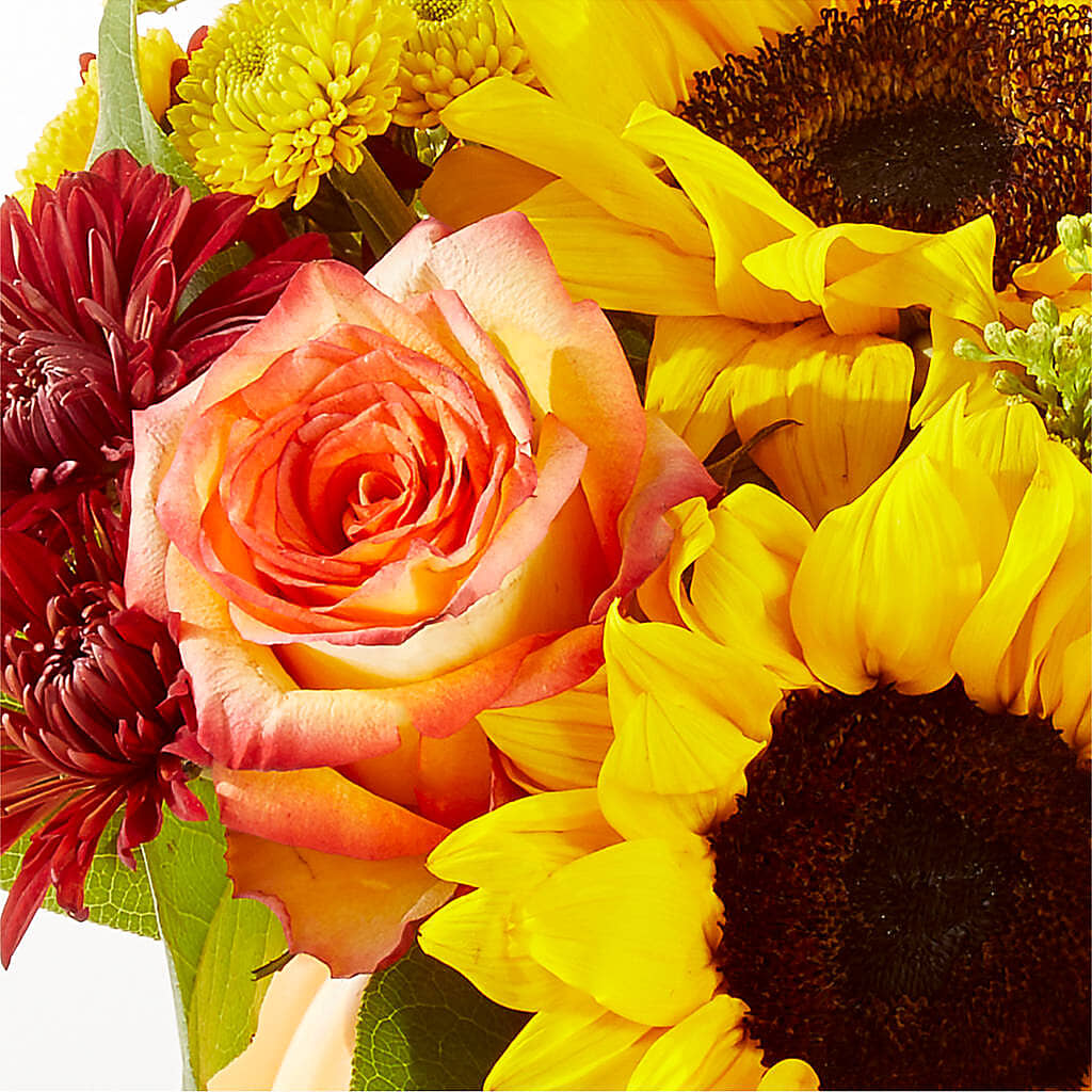 Golden Gourd Pumpkin Bouquet –  Fiesta, Las Cruces NM