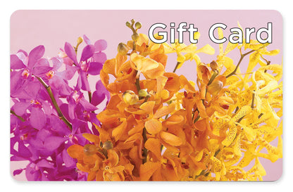 Gift Card –  Fiesta, Las Cruces NM