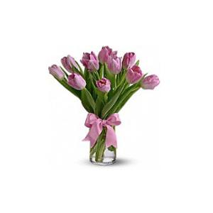 Precious Pink Tulips –  Fiesta, Las Cruces NM