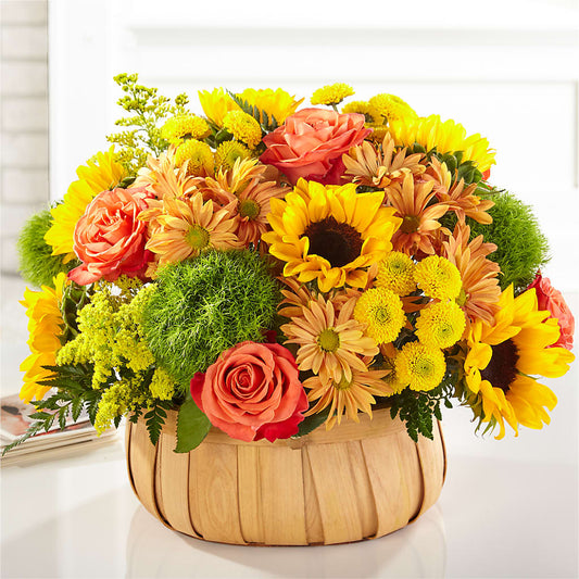 Harvest Sunflower Basket –  Fiesta, Las Cruces NM