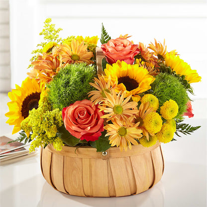Harvest Sunflower Basket –  Fiesta, Las Cruces NM