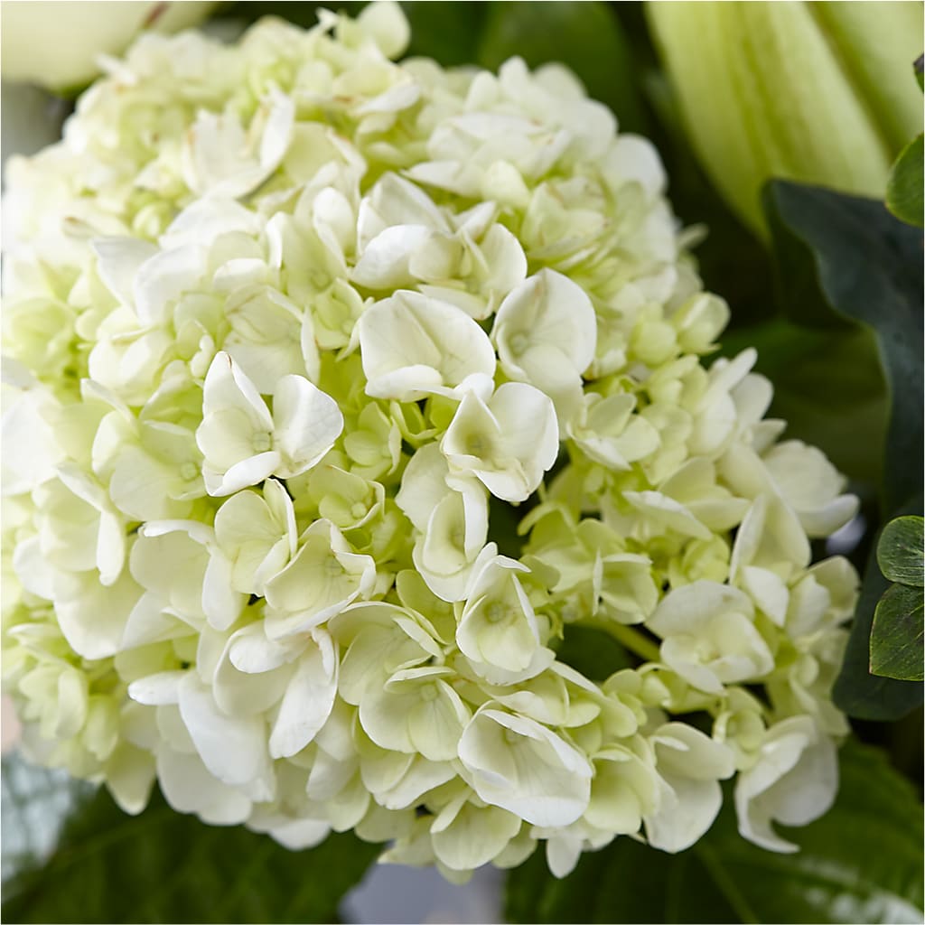 Classic Ivory – A Florist Original –  Fiesta, Las Cruces NM