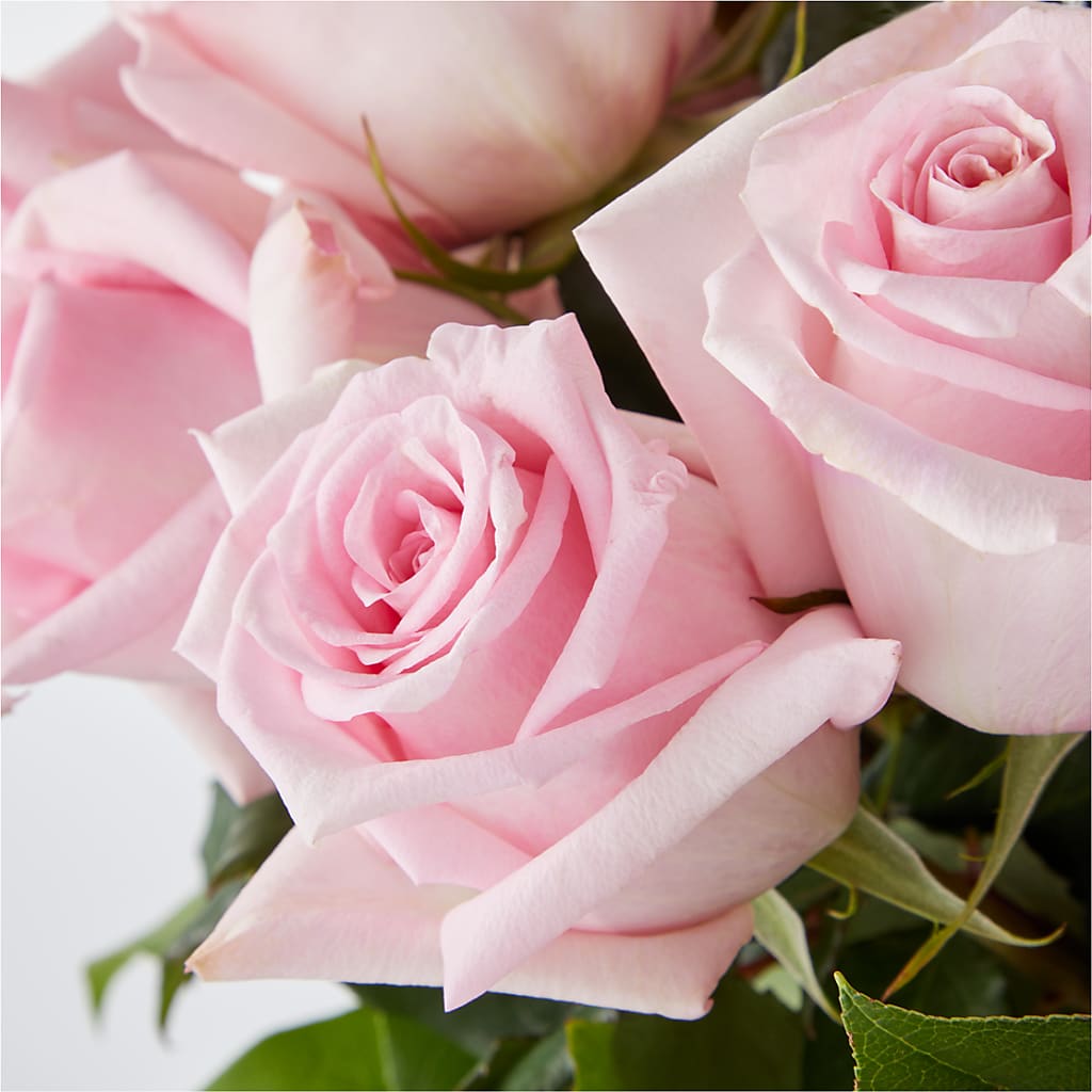 Picture Perfect Pink Rose Bouquet –  Fiesta, Las Cruces NM