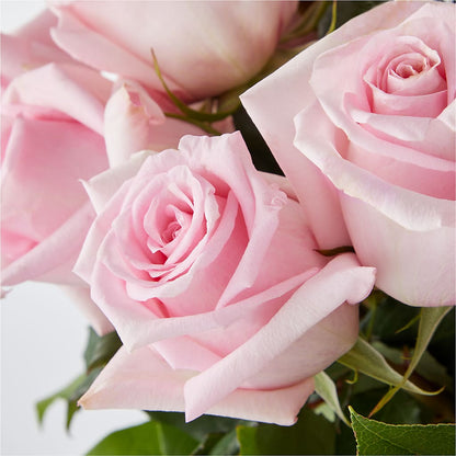 Picture Perfect Pink Rose Bouquet –  Fiesta, Las Cruces NM