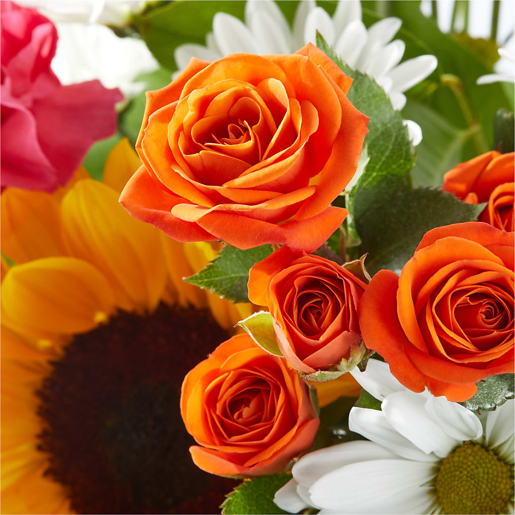 Sun-drenched Blooms Bouquet –  Fiesta, Las Cruces NM