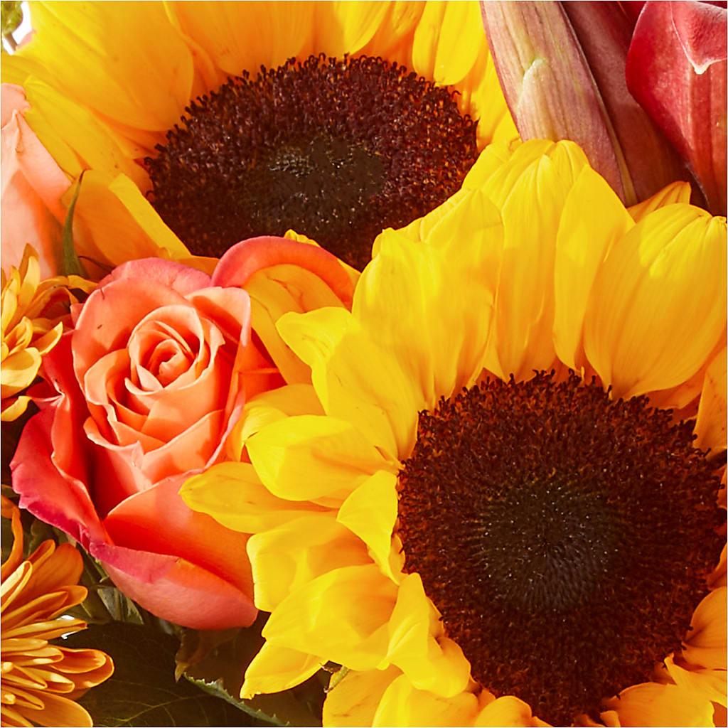 Acorn Lane Bouquet –  Fiesta, Las Cruces NM