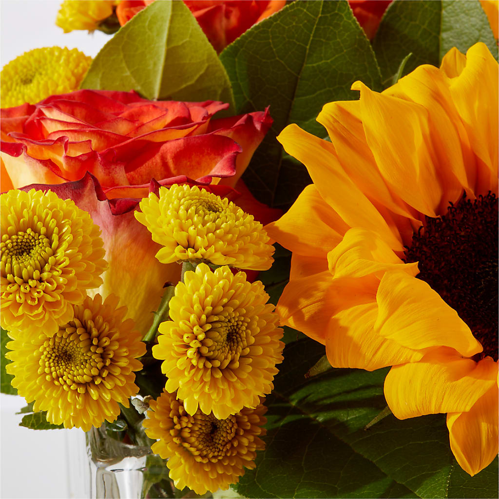 Picnic in the Park Bouquet –  Fiesta, Las Cruces NM