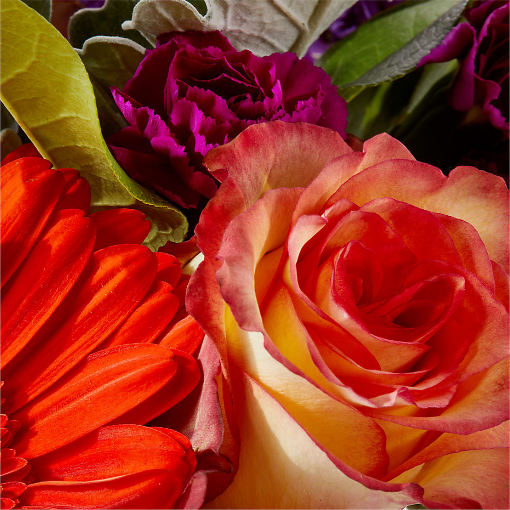 Sangria Bouquet –  Fiesta, Las Cruces NM
