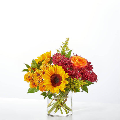 Flannel Scarf Bouquet –  Fiesta, Las Cruces NM