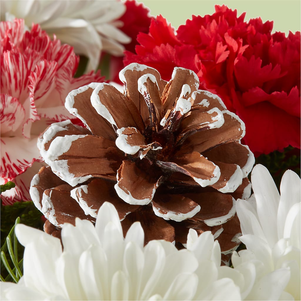 Candy Cane Lane Bouquet –  Fiesta, Las Cruces NM