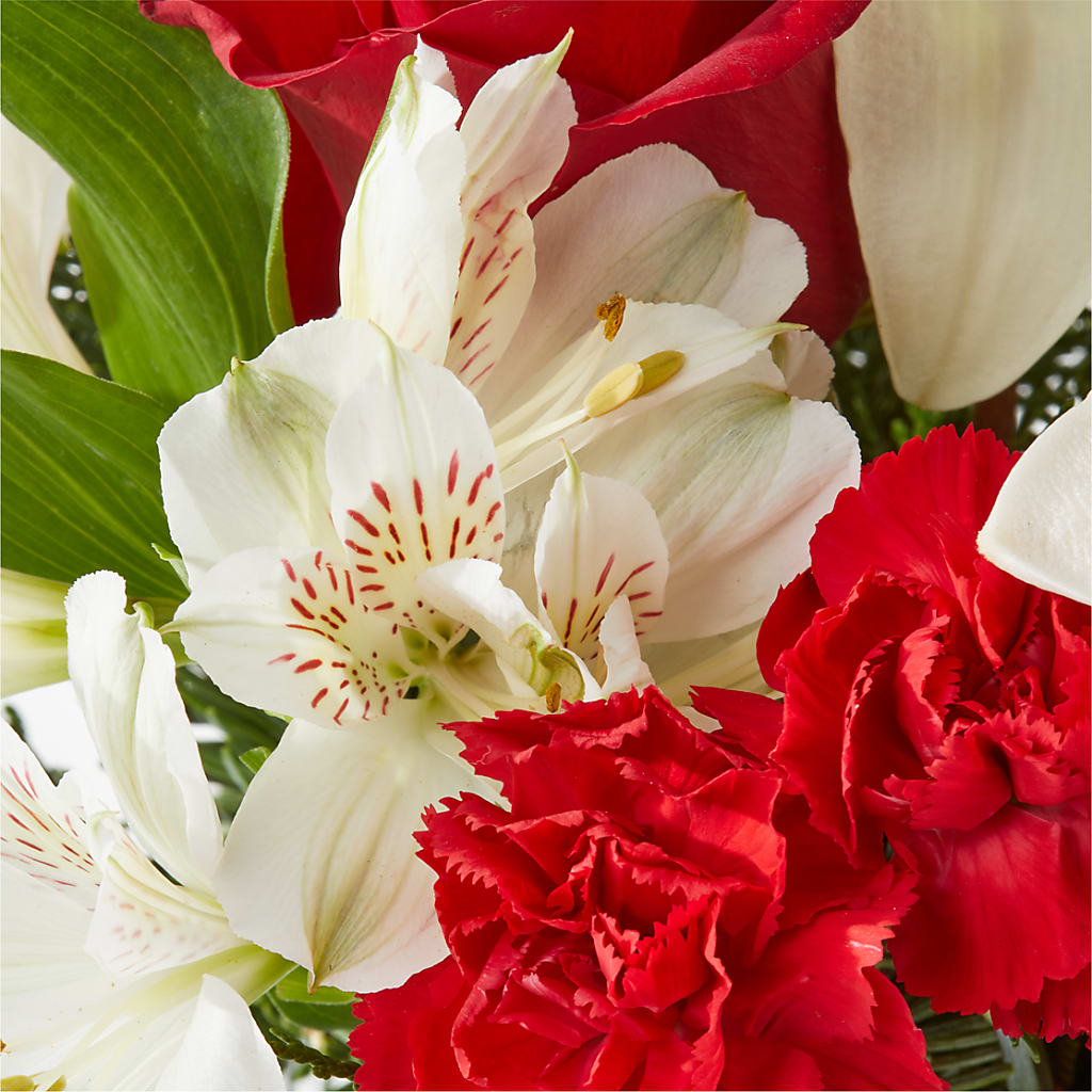 Holiday Season Bouquet –  Fiesta, Las Cruces NM