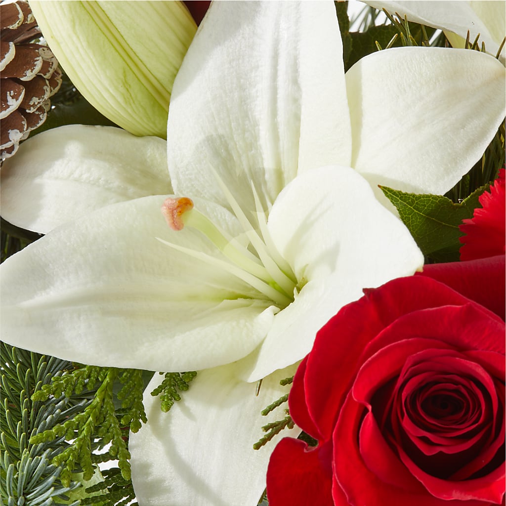 Oh So Jolly Bouquet –  Fiesta, Las Cruces NM