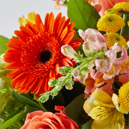 Autumn Sunshine Bouquet –  Fiesta, Las Cruces NM