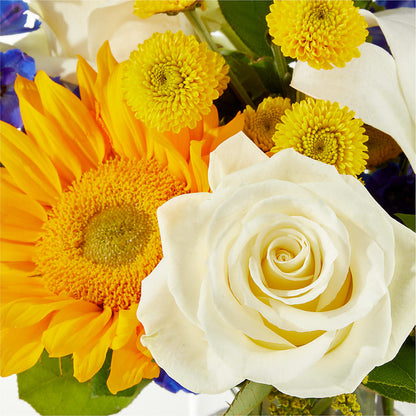 Stargazing Bouquet –  Fiesta, Las Cruces NM