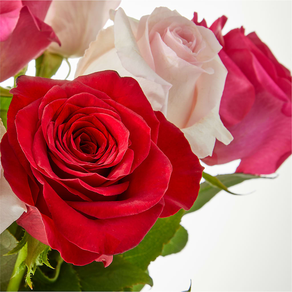 Charming Rose Bouquet –  Fiesta, Las Cruces NM