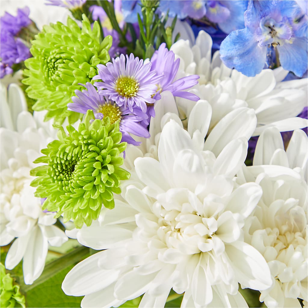 Genuine Gestures Bouquet –  Fiesta, Las Cruces NM