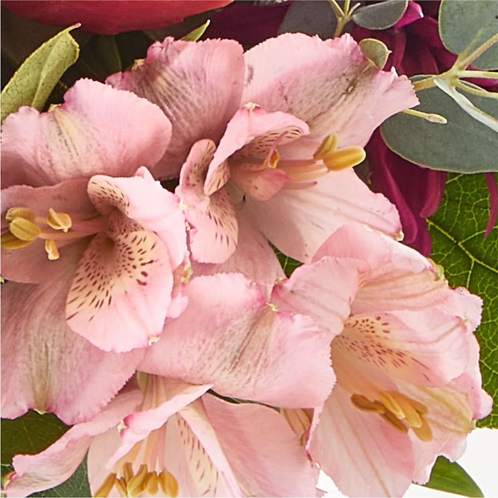 Berry Cobbler Bouquet –  Fiesta, Las Cruces NM