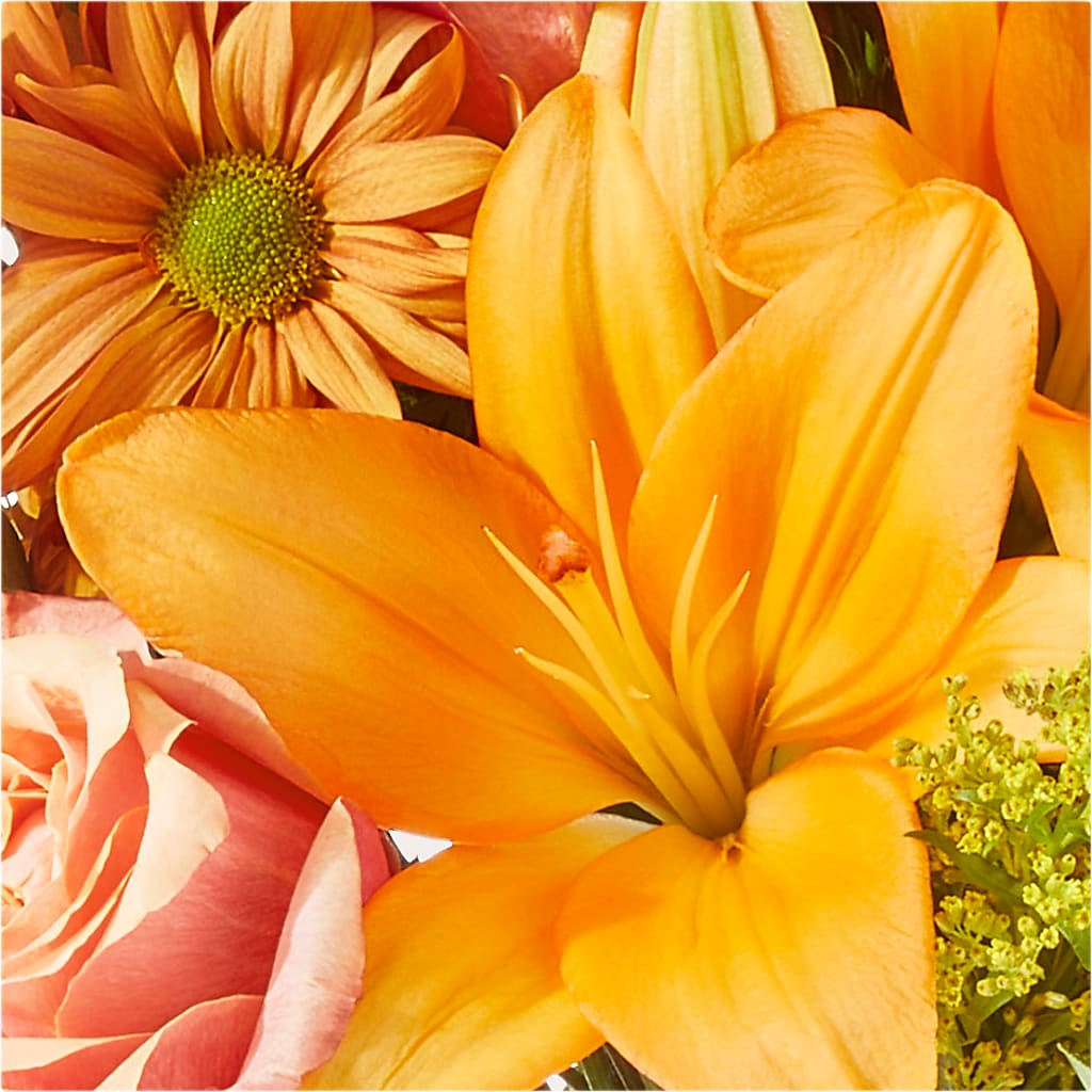 Harvest Hayride Bouquet –  Fiesta, Las Cruces NM