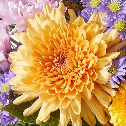 Countryside Bouquet –  Fiesta, Las Cruces NM