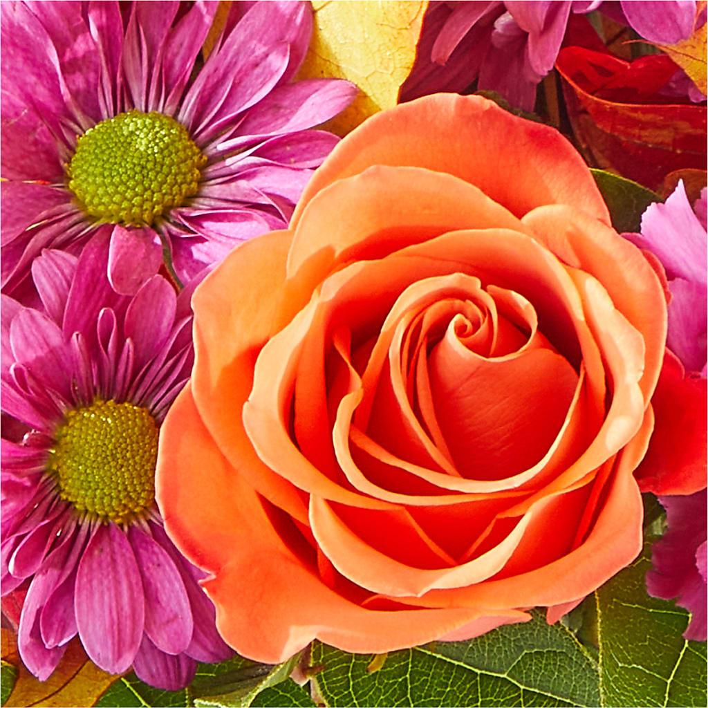Mum's the Word Bouquet –  Fiesta, Las Cruces NM