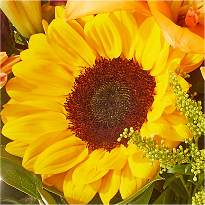 Seasons Change Bouquet –  Fiesta, Las Cruces NM