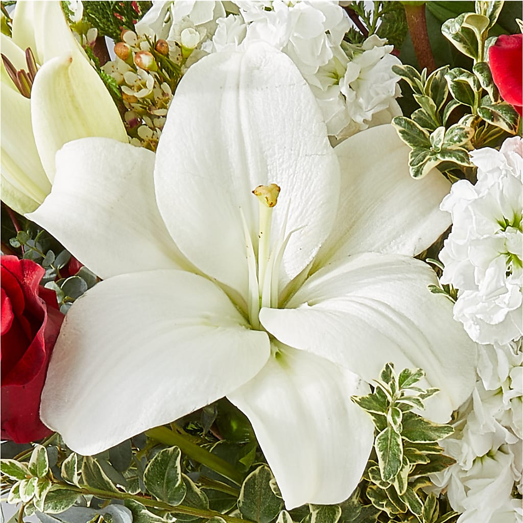 Twinkle Lights Bouquet –  Fiesta, Las Cruces NM