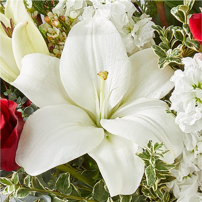 Twinkle Lights Bouquet –  Fiesta, Las Cruces NM