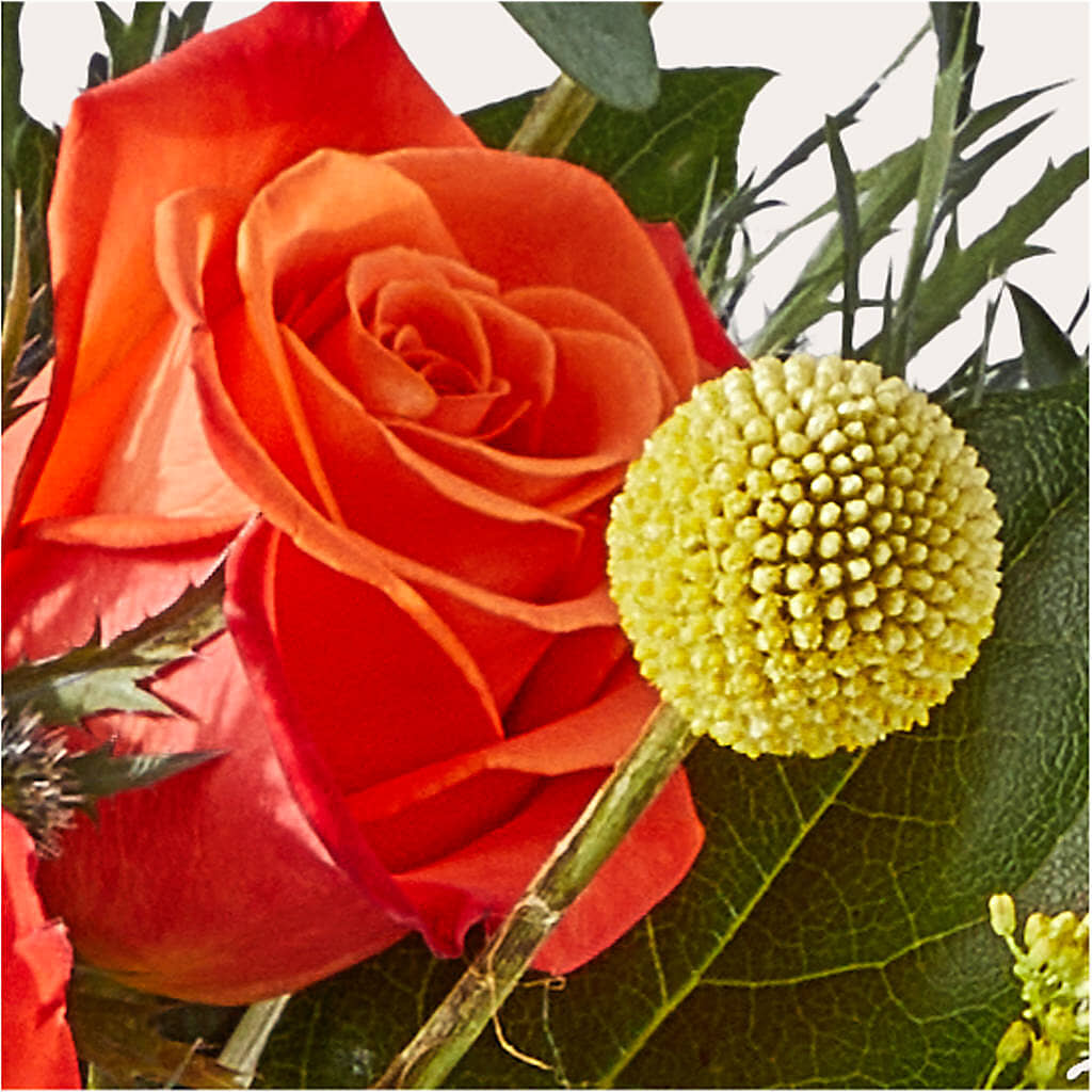 Disco Bouquet –  Fiesta, Las Cruces NM