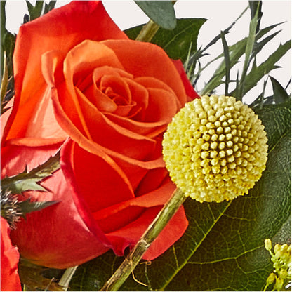 Disco Bouquet –  Fiesta, Las Cruces NM