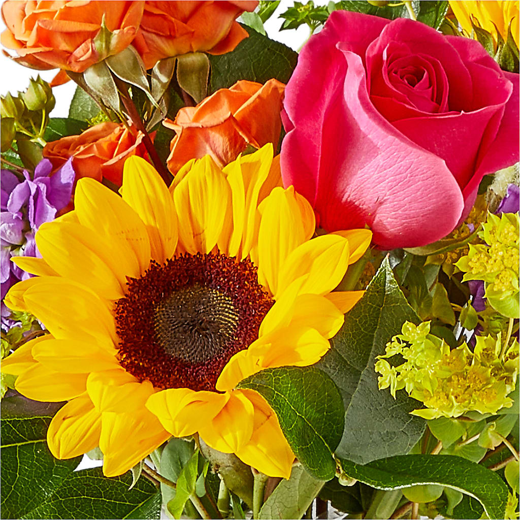 Vibrant Greetings Bouquet –  Fiesta, Las Cruces NM