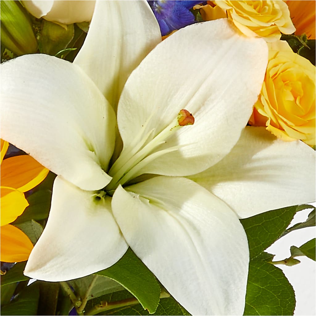Wonderfully Sunny Bouquet –  Fiesta, Las Cruces NM