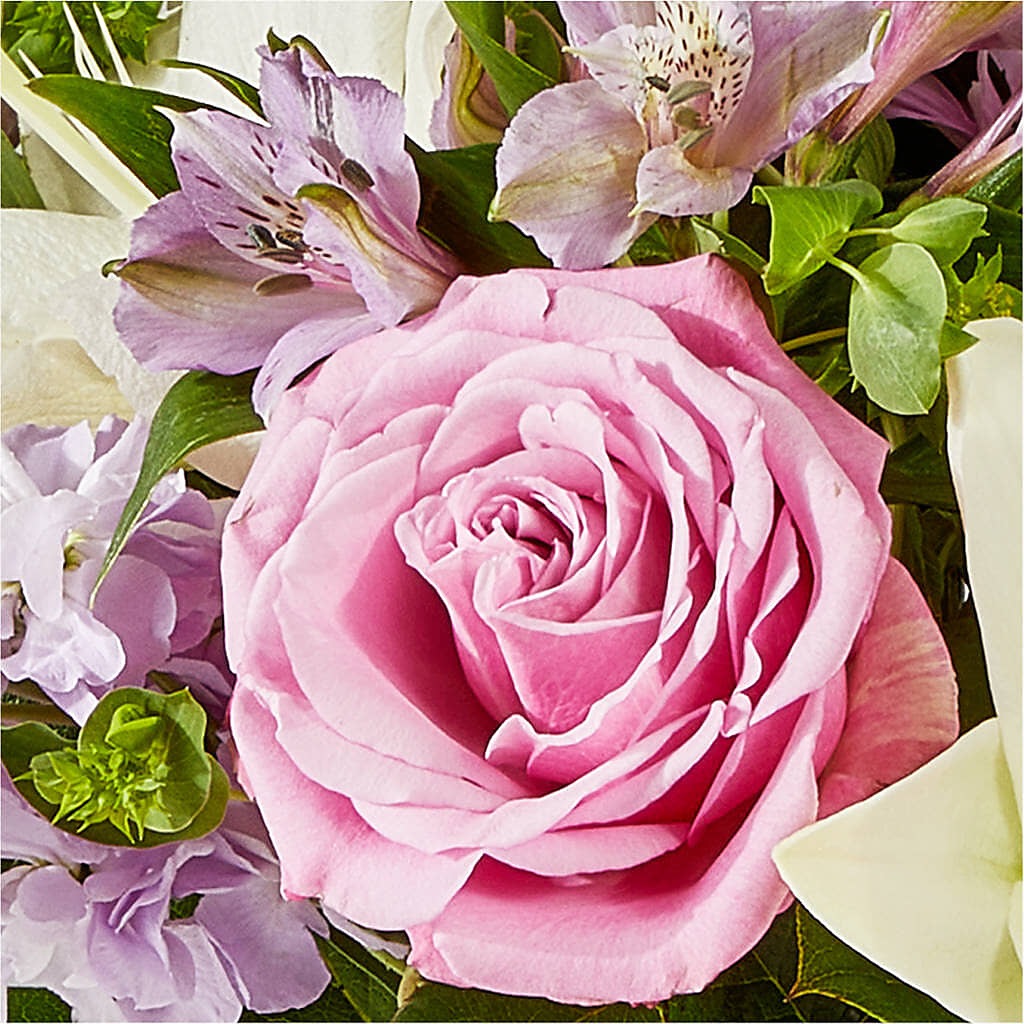 Daydreamer Bouquet –  Fiesta, Las Cruces NM