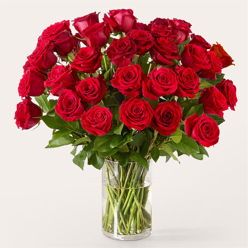 The One Red Rose Bouquet –  Fiesta, Las Cruces NM