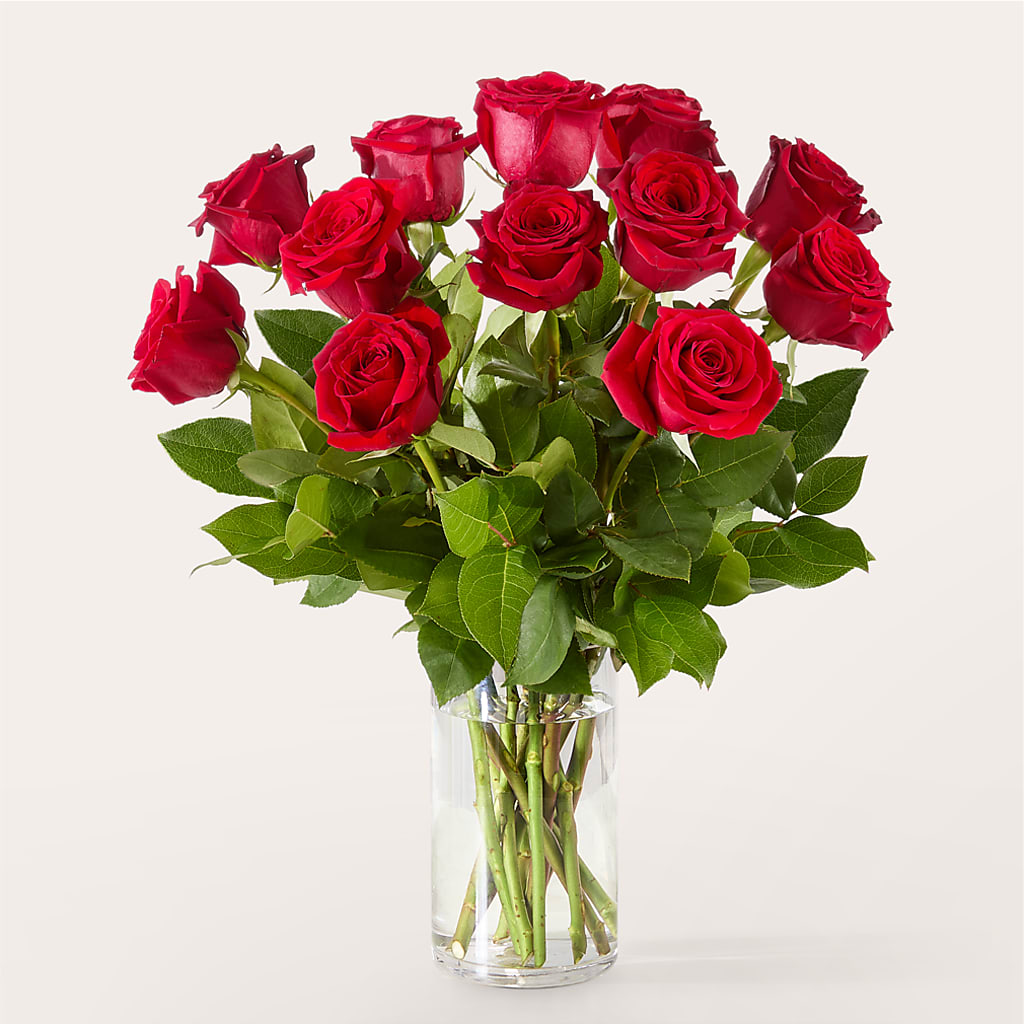 The One Red Rose Bouquet –  Fiesta, Las Cruces NM