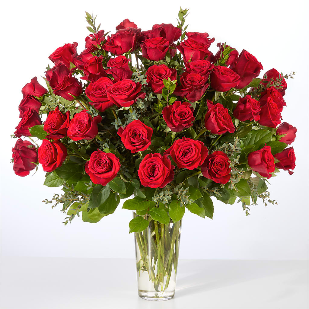 Forever Yours Fifty Stem Red Rose Bouquet –  Fiesta, Las Cruces NM