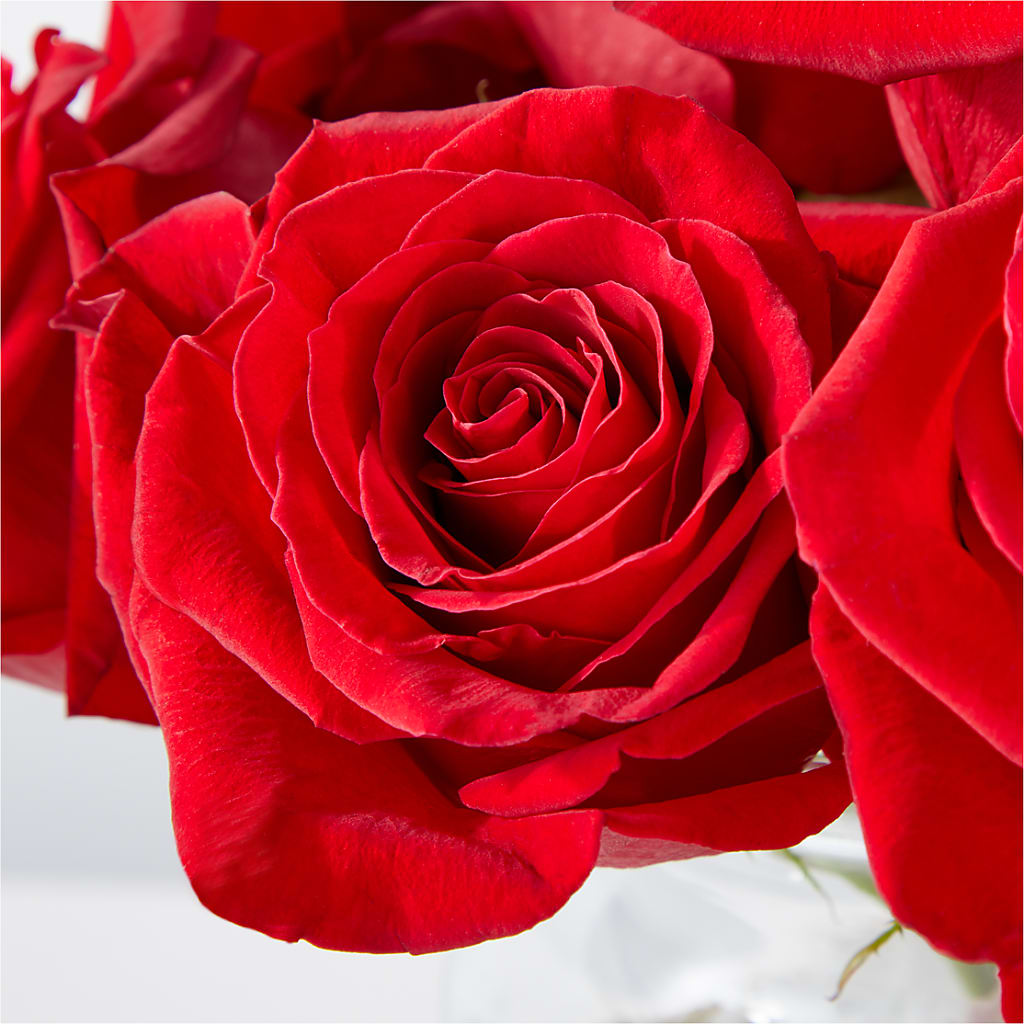Cupid's Embrace Red Rose Bouquet –  Fiesta, Las Cruces NM