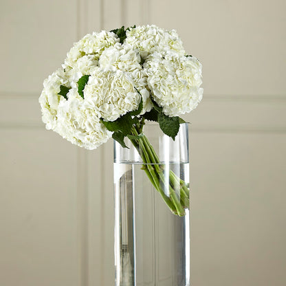White Hydrangea Hand-Tied Bouquet –  Fiesta, Las Cruces NM