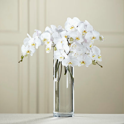 White Phalaenopsis Bouquet –  Fiesta, Las Cruces NM