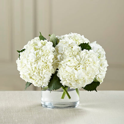 White Hydrangea Bouquet –  Fiesta, Las Cruces NM