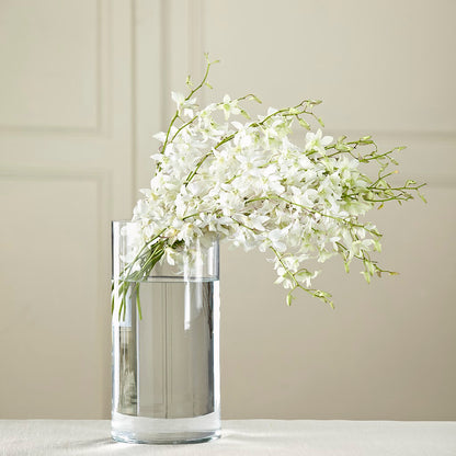 White Dendrobium Bouquet –  Fiesta, Las Cruces NM