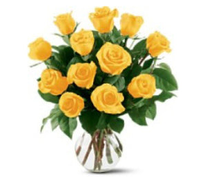 12 Yellow Roses