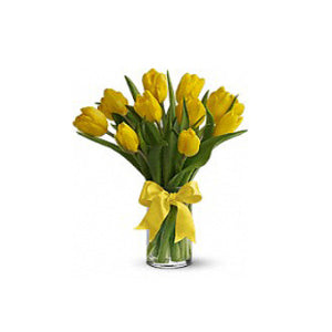 Sunny Yellow Tulips